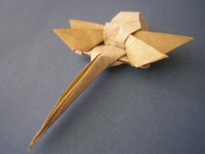 une libellule, vue de derrière (Terry Nicolas, 2003)
papier de soie métallisé or de 10x10cm
