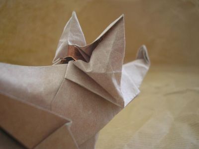 un renard, zoom sur la tête vue de dos (Terry Nicolas, 2003)
papier de soie  métallisé cuivre de 30x30cm
