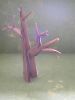 arbre1.JPG