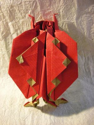 Kaze: Coccinelle 
