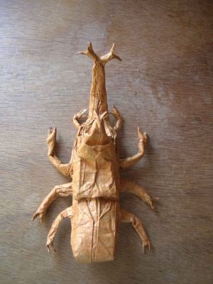 Kabutomushi
Feuille de murier contrecollé à de l'aluminium, 30cm. Pleat boxing 32*32.
