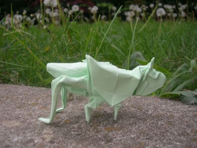 Sauterelle
Un modèle qui fut long à créer à cause des antennes... Une feuille de 20cm.
