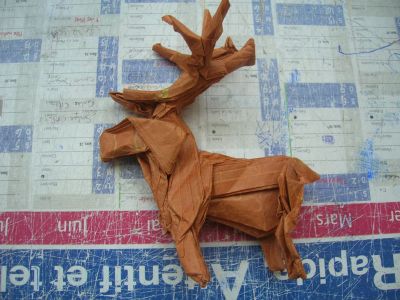 Cerf
