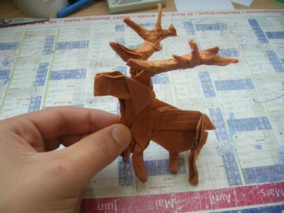 Cerf
