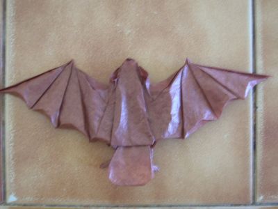 Chauve souris
