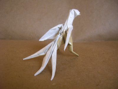 DSCN5922.JPG