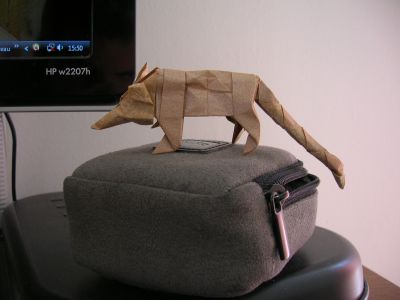 Opossum de KarineS

