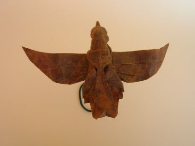 Corbeau
