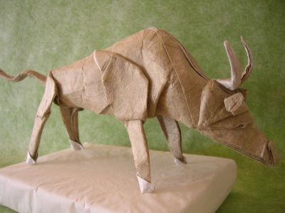 taureau
