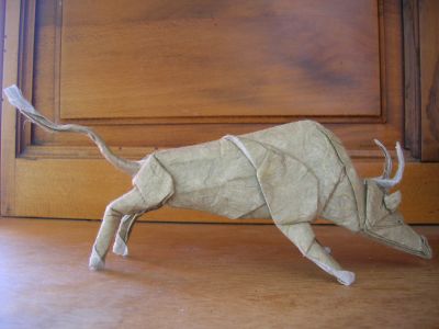 taureau
