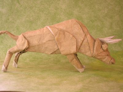 taureau
