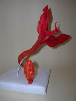 DSCN6272.JPG