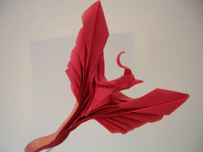 DSCN6279.JPG