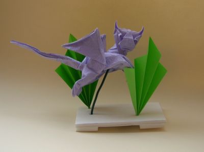 DSCN6532.JPG