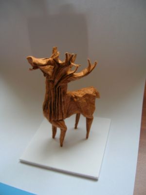 DSCN6714.JPG