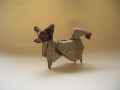 DSCN7019.JPG