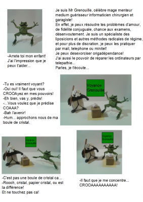 grenouille_1.png