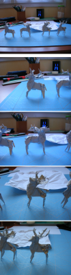image3037.png