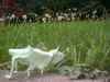 DSCN4033.JPG