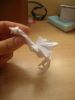 DSCN4513.JPG