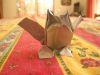 DSCN4990.JPG