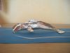 DSCN5454.JPG