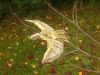 DSCN5672.JPG