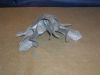 DSCN5781.JPG