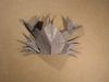 DSCN5790.JPG