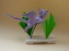 DSCN6532.JPG
