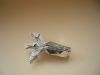 DSCN7008.JPG