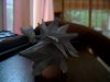 Pic-20100519-001.jpg