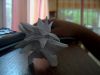Pic-20100519-002.jpg