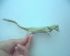 Pic-20100830-001.jpg