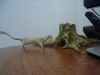 Pic-20100831-001.jpg