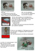 spectacle_1.png