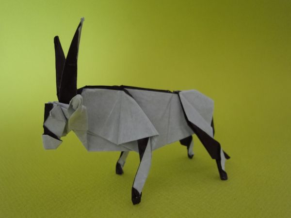 Oryx / Gemsbok
Auteur : Trollip Quentin 
Diagramme : dans le livre Origami Sequence de Terry Nicolas
Papier Origami 35x35 cm verni avant pliage
Mots-clés: Gemsbok Oryx Trollip Quentin Sequence Terry Nicolas paper papier origami