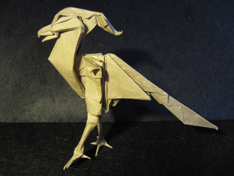 Secretary Bird by Roman Diaz
