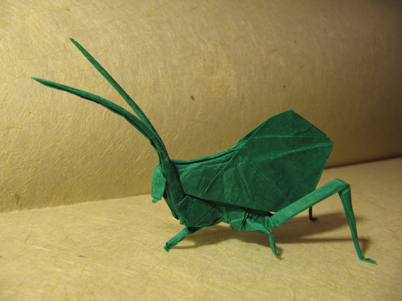 Leaf Katydid
