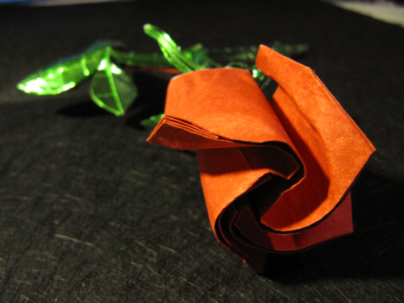 One-sheet Rose
