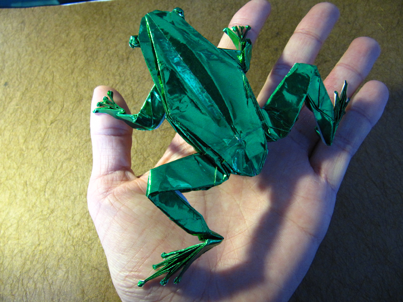 Tree Frog
