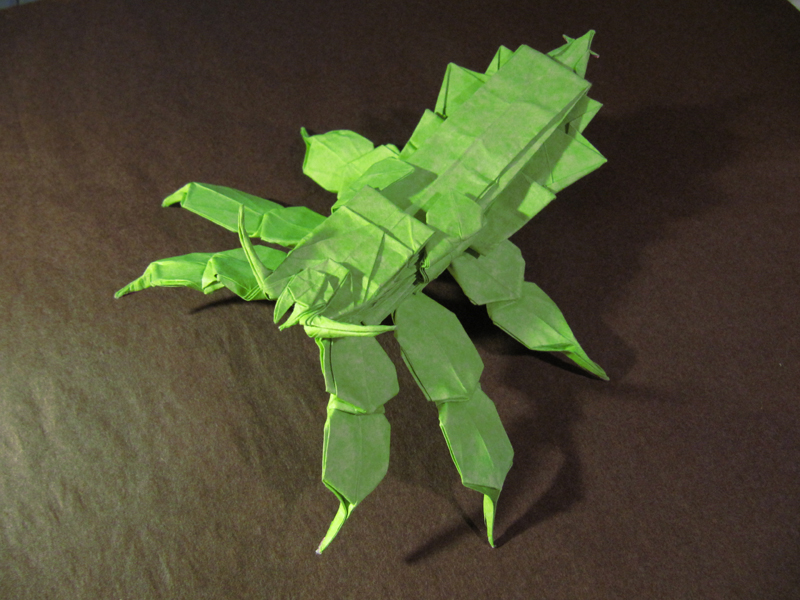 Walking stick-leaf
