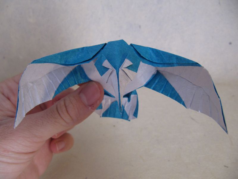 Kingfisher
