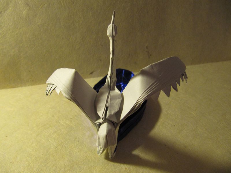 Crane on Water by Jon Tucker
