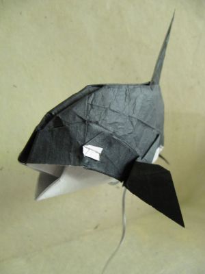 Orca
