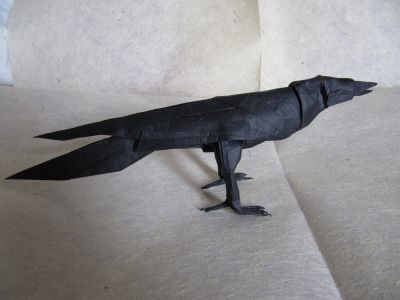 Crow

