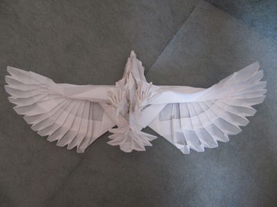 Eagle by Nguyen Hung Cuong
