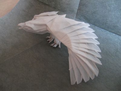 Eagle by Nguyen Hung Cuong
