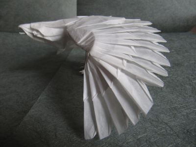 Eagle by Nguyen Hung Cuong
