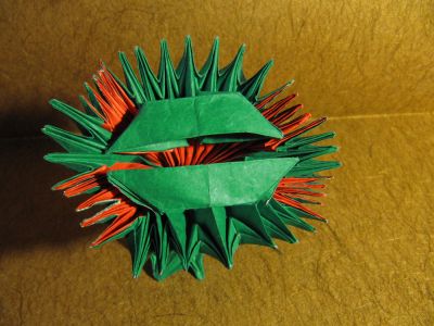 Molbol
